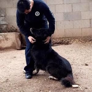 Meet your Posher, Marcos